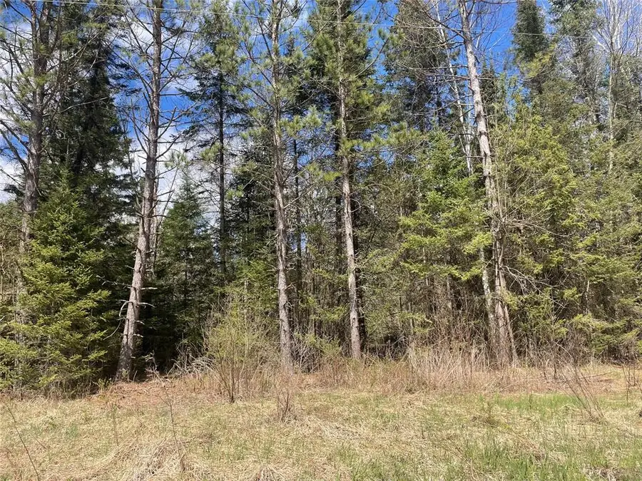 81620 Pociask Road, Butternut, WI 54514 - #2