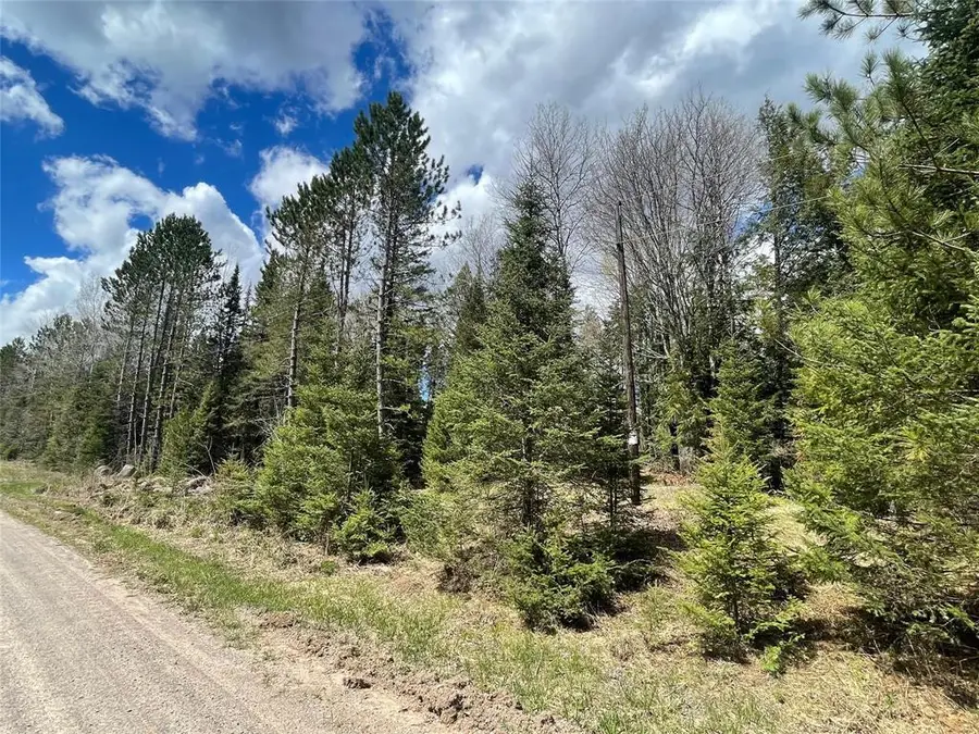 81620 Pociask Road, Butternut, WI 54514 - #3