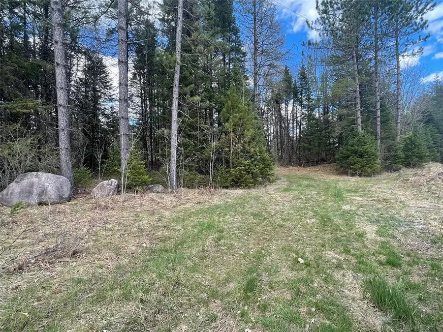 40 +/- Acres On Pociask Road, Butternut, WI 54514 - #3