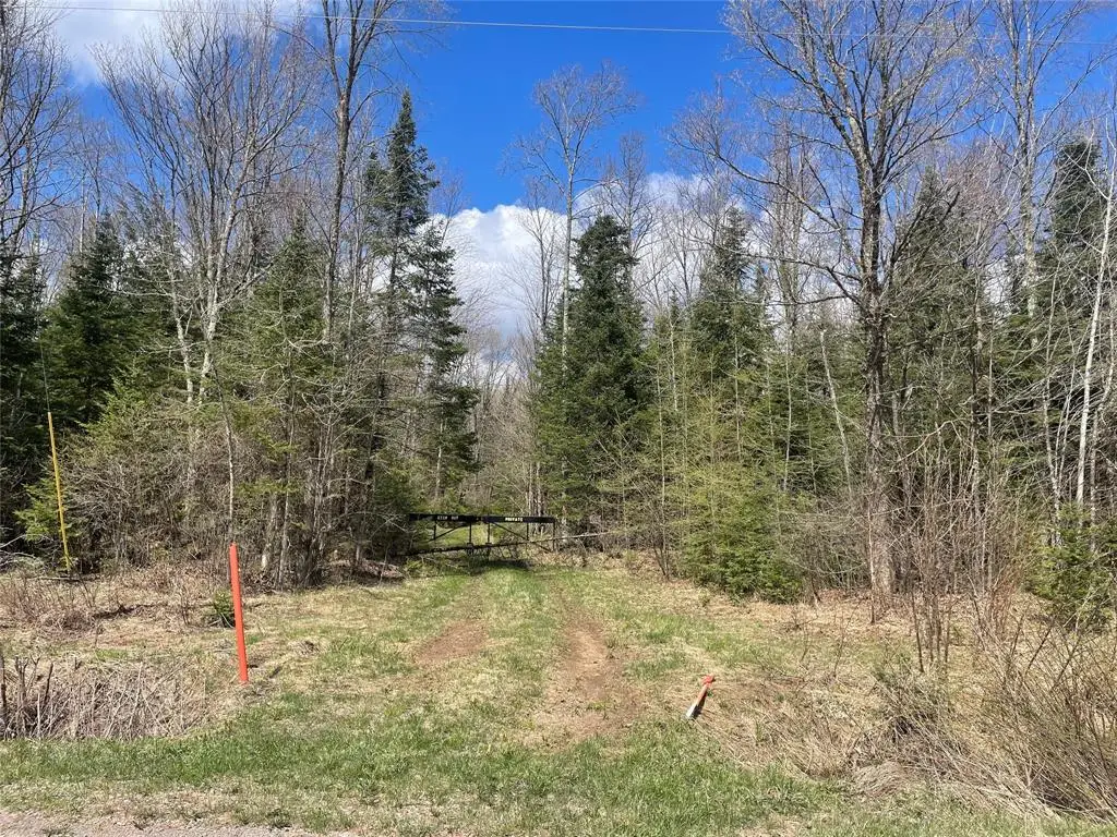 40+/- Acres On Pociask Road, Butternut, WI 54514 - #1