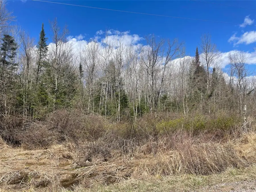 40+/- Acres On Pociask Road, Butternut, WI 54514 - #2