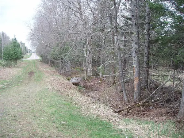 120 +/- Acres Off County Hwy N, Glidden, WI 54527