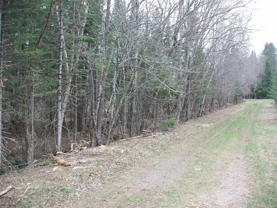 120 +/- Acres Off County Hwy N, Glidden, WI 54527 - #2