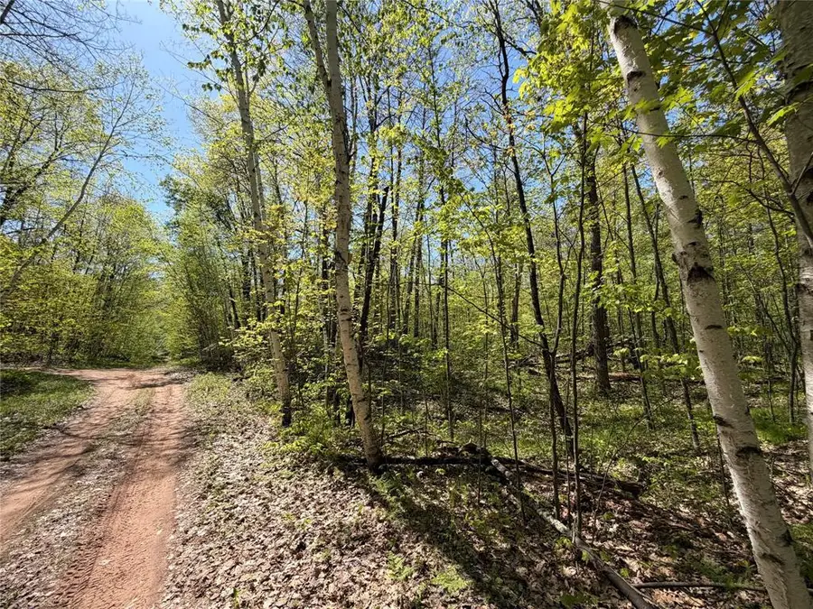 Lot 3 Peterson Rd, Wascott, WI 54859 - #3