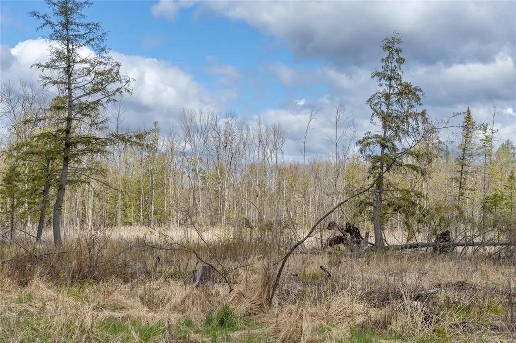 40 Acres Anderson & School Road, Glen Flora, WI 54526 - #1