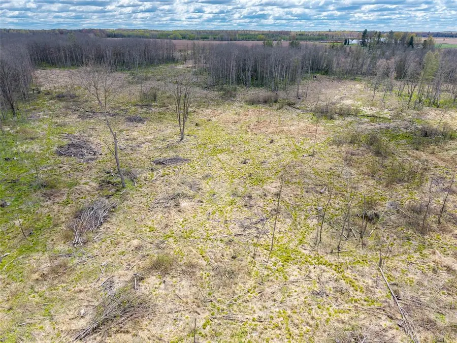 40 Acres Anderson & School Road, Glen Flora, WI 54526 - #3