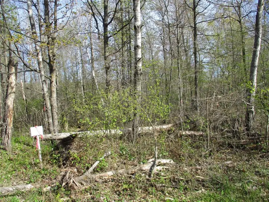 Lot #24 28 1/8 Avenue, Birchwood, WI 54817 - #2