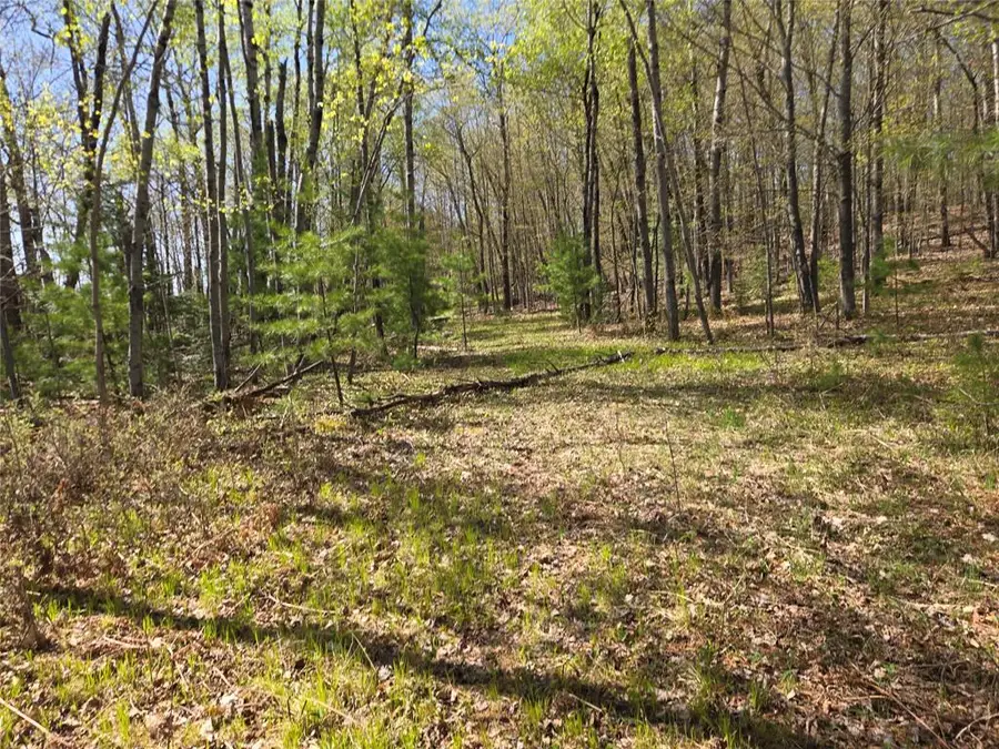 Lot 3 County Highway D, Cable, WI 54821 - #3