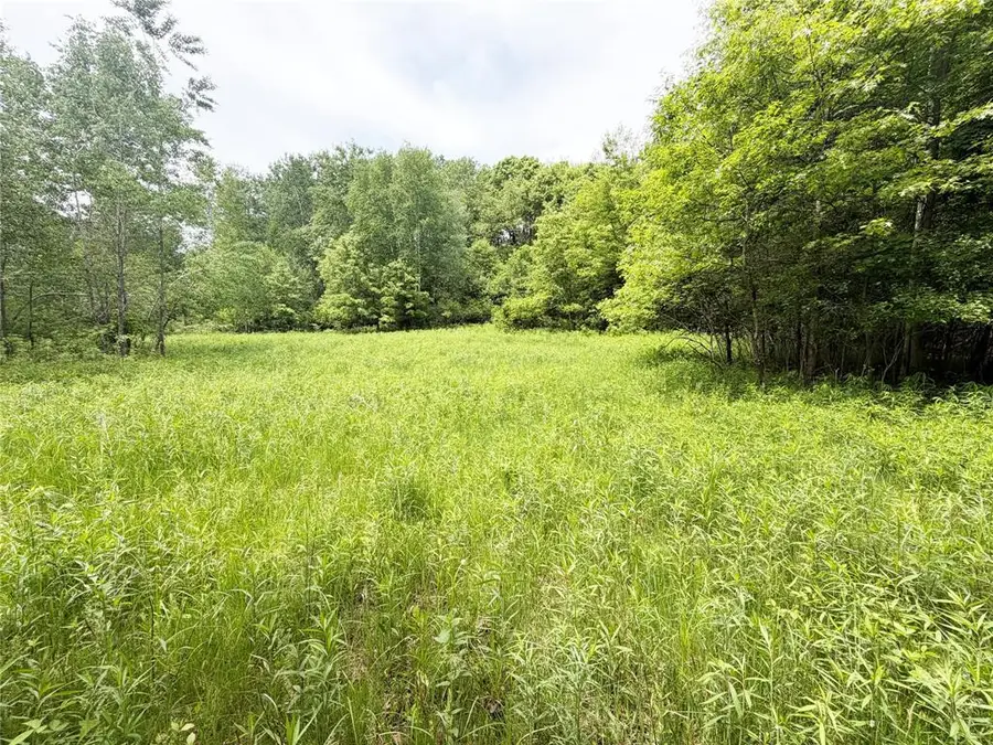 XX 1280th Street, Wheeler, WI 54772 - #3