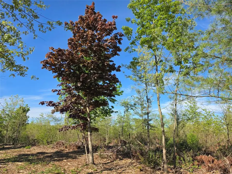 0 370 Avenue Lot 7 and Lot 8, Elk Mound, WI 54739 - #3