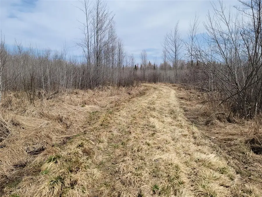 On Elderwood Road, Phillips, WI 54555 - #2