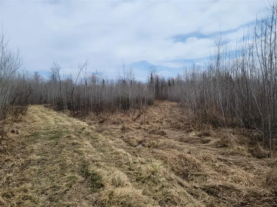 On Elderwood Road, Phillips, WI 54555 - #3