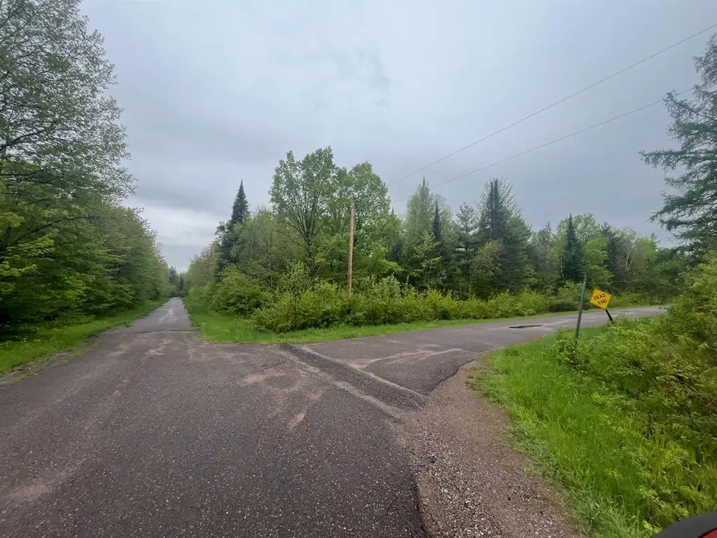 Lot 2 Delap Lane, Couderay, WI 54828 - #1