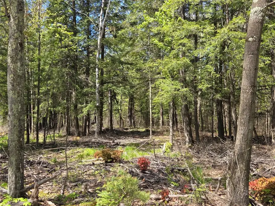 On Circle Drive, Brantwood, WI 54513 - #3