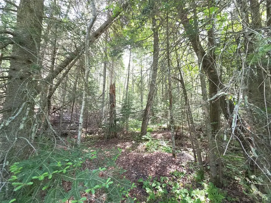 Lot 3 E Solberg Lake Road, Phillips, WI 54555 - #3