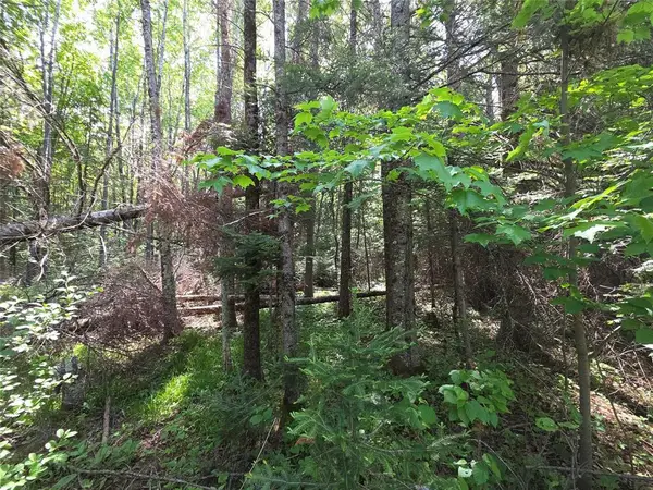 Lot 4 E Solberg Lake Road, Phillips, WI 54555