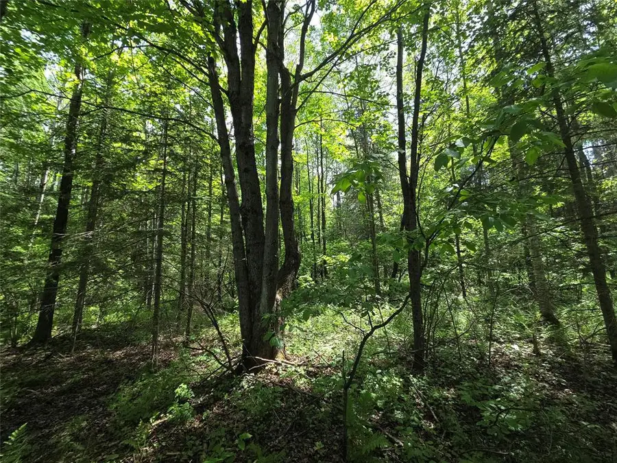 Lot 5 E Solberg Lake Road, Phillips, WI 54555 - #3