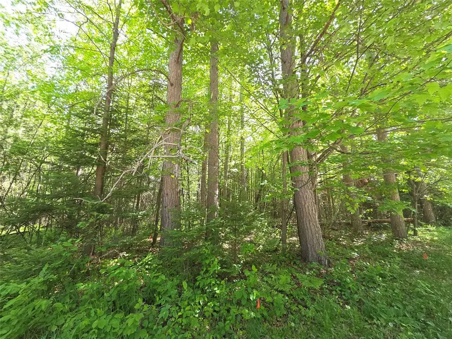 Lot 6 E Solberg Lake Road, Phillips, WI 54555 - #3