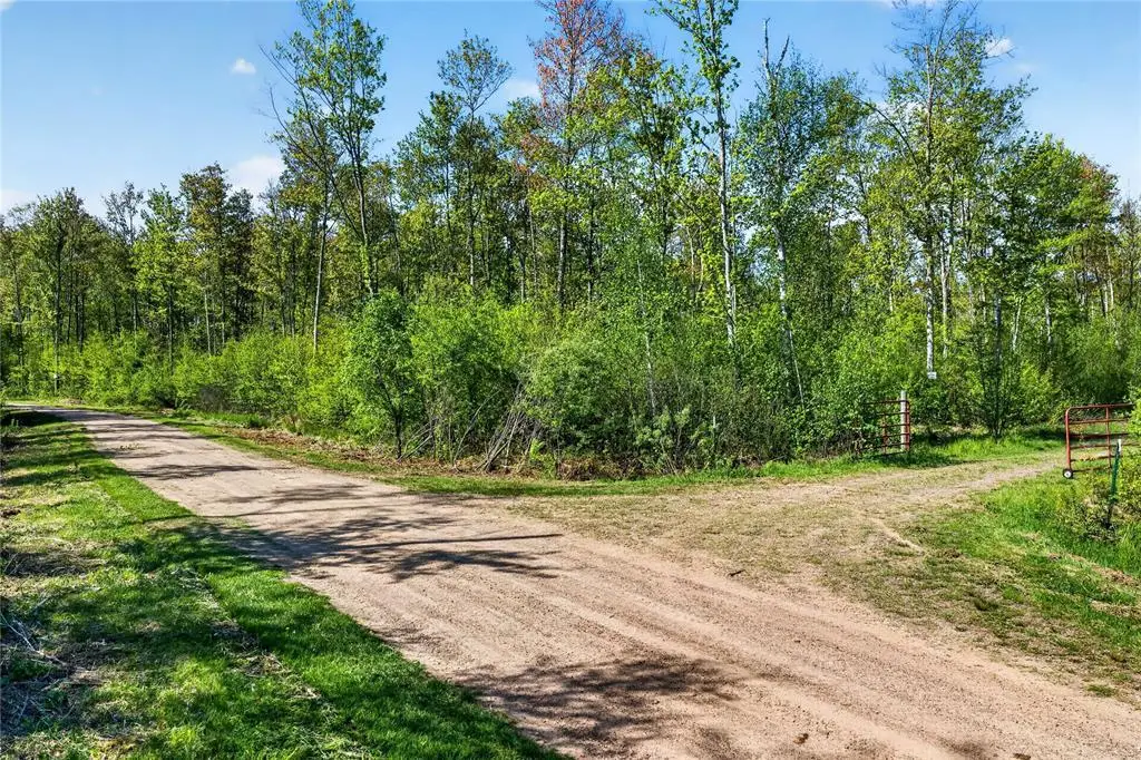Lot 41 Horse Creek Trail, Ojibwa, WI 54862 - #1
