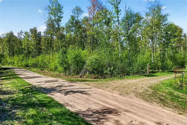 Lot 41 Horse Creek Trail, Ojibwa, WI 54862