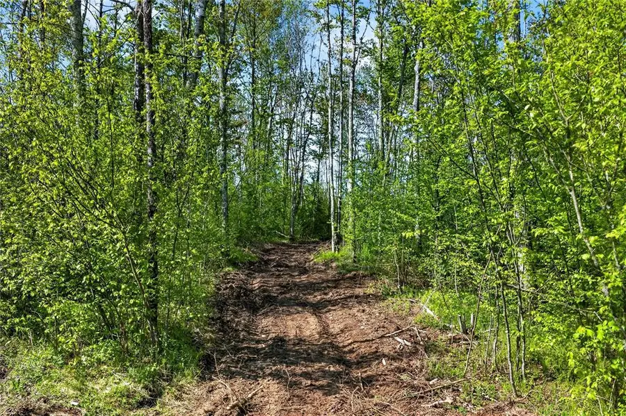 Lot 41 Horse Creek Trail, Ojibwa, WI 54862 - #3
