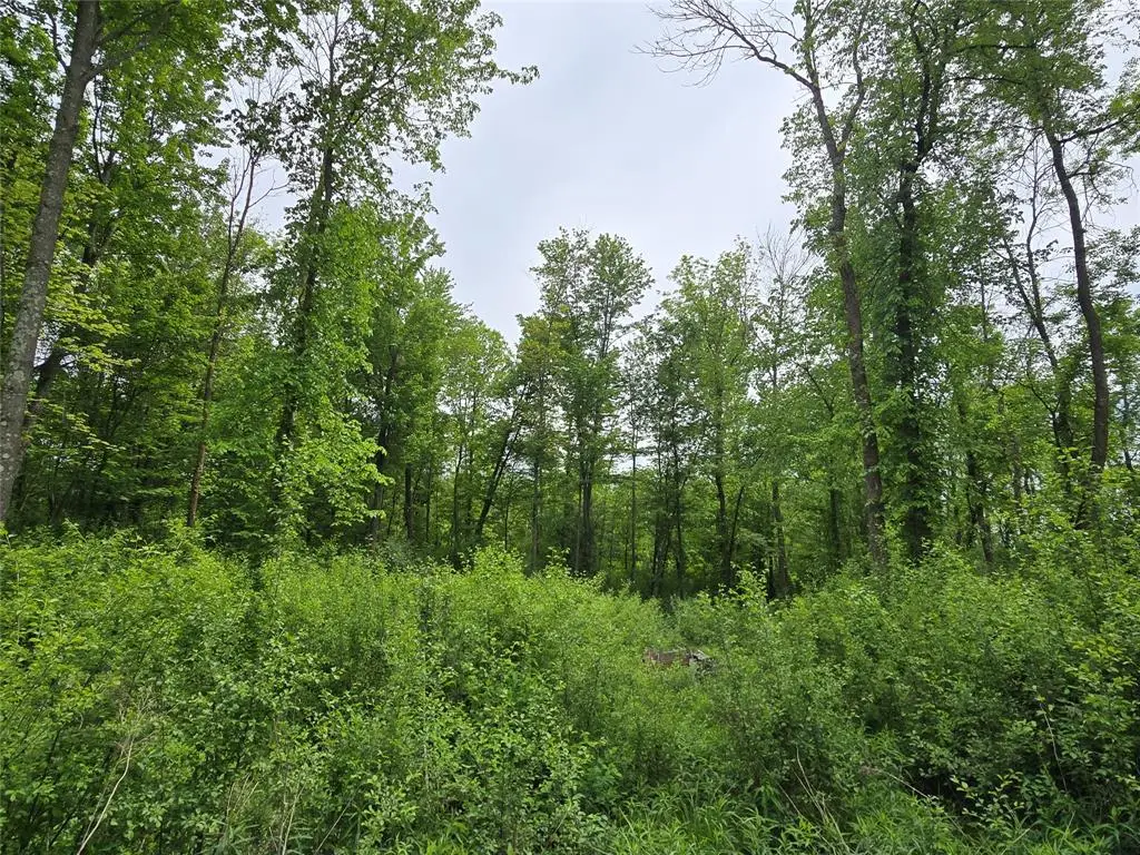 000 27th Street, Chetek, WI 54728 - #1