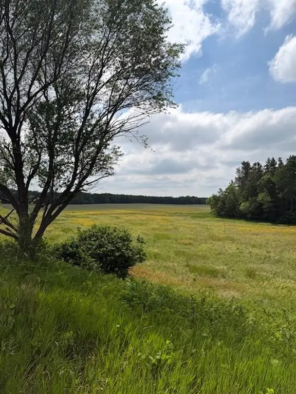 Lot 2 County Rd F, Boyceville, WI 54725 - #2