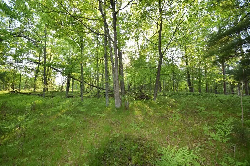 Lot 19 Aspen Hill Trailway, Webster, WI 54893 - #1