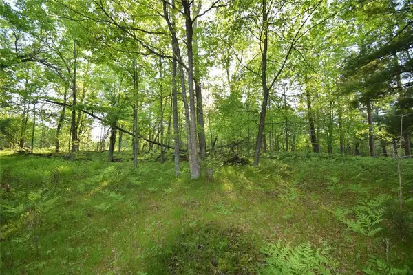 Lot 19 Aspen Hill Trailway, Webster, WI 54893