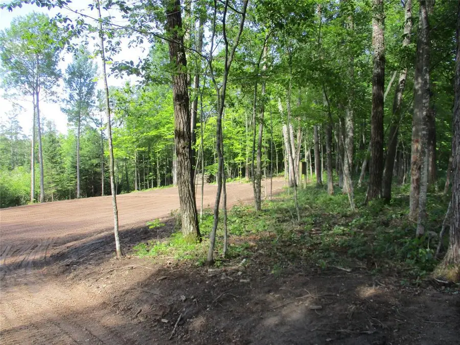 2863 INDEPENDENCE WAY /29 9/16 Avenue, Birchwood, WI 54817 - #3