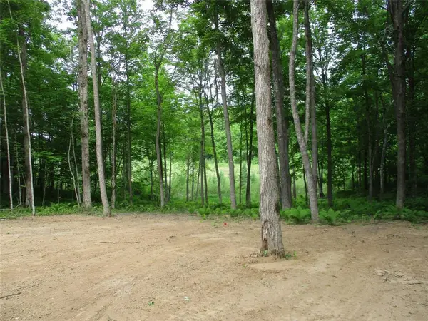 2982 MAPLE WAY / 28 7/16 Avenue, Birchwood, WI 54817