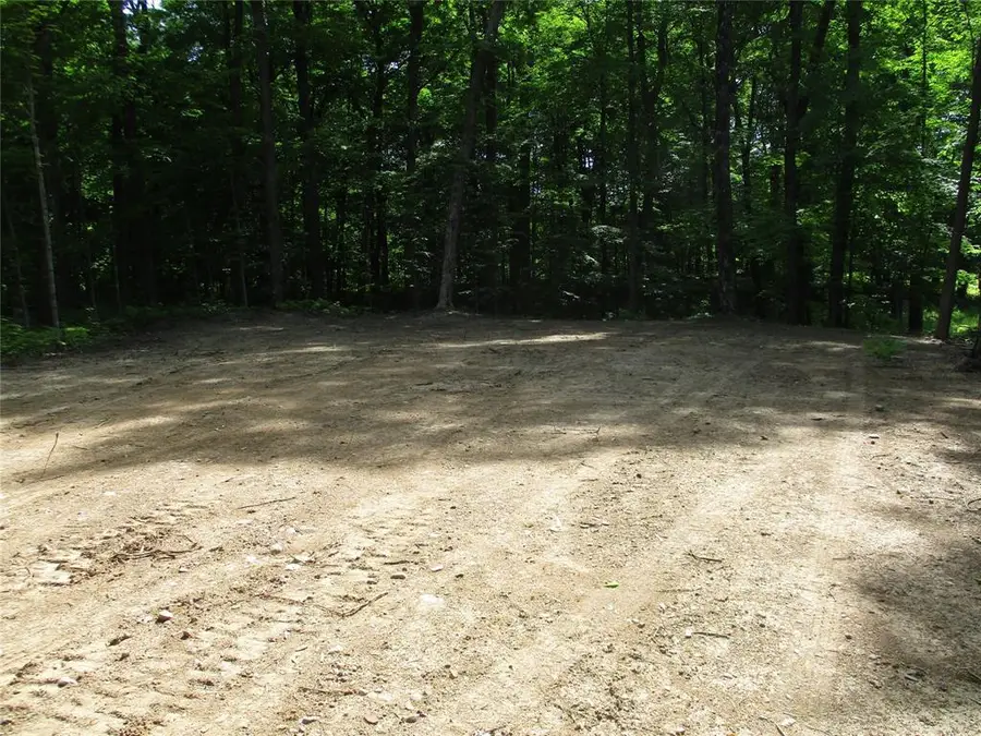LOT #58 STEWART /28 TH Street, Birchwood, WI 54817 - #3