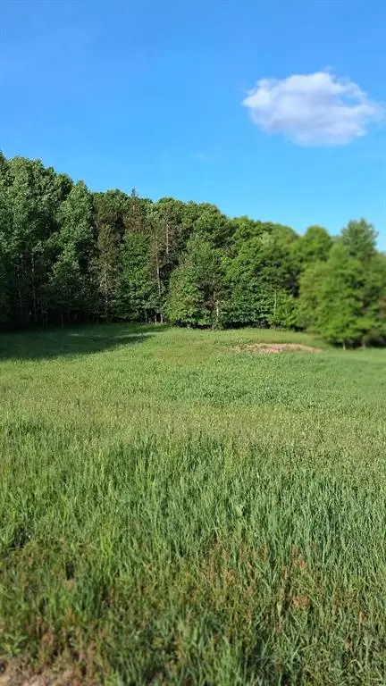 W14006 County Road B, Fairchild, WI 54741 - #2