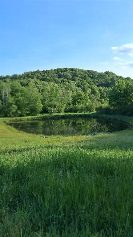W14006 County Road B, Fairchild, WI 54741 - #3