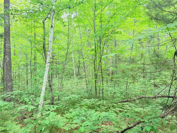 0 Schultz Lane, Stone Lake, WI 54876