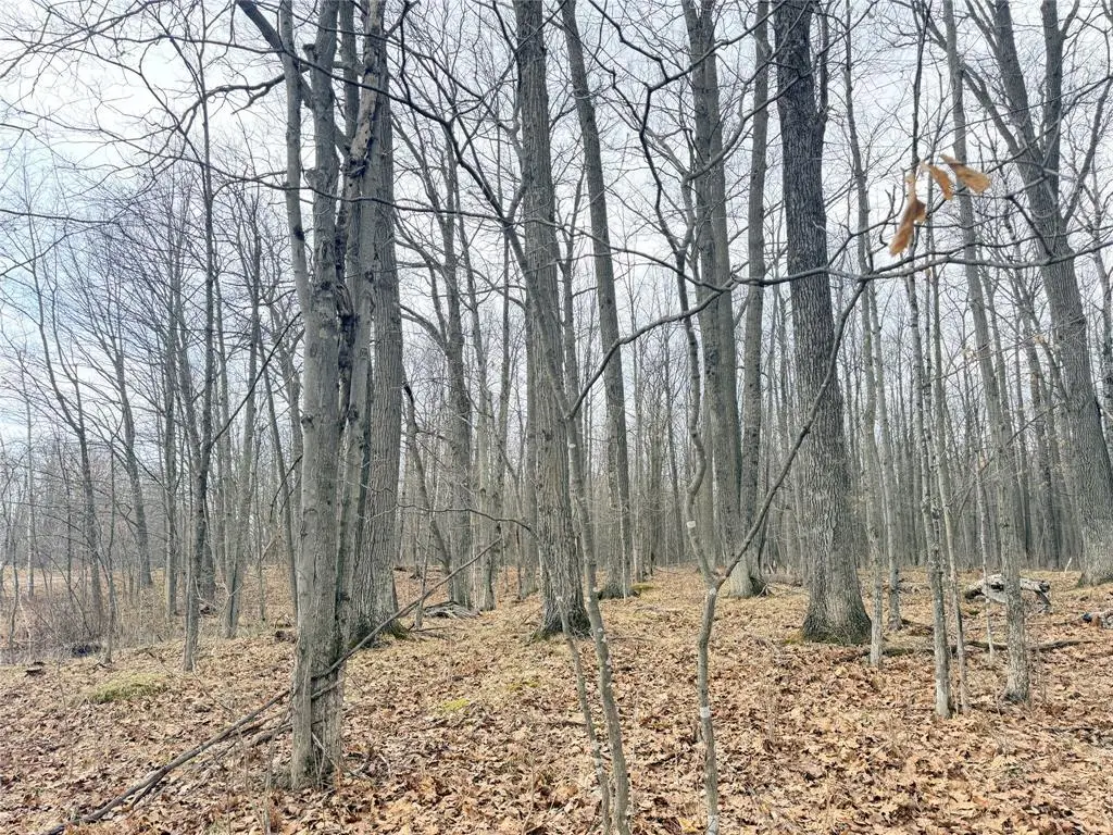 Lot 4 Hwy X, Glen Flora, WI 54526 - #1