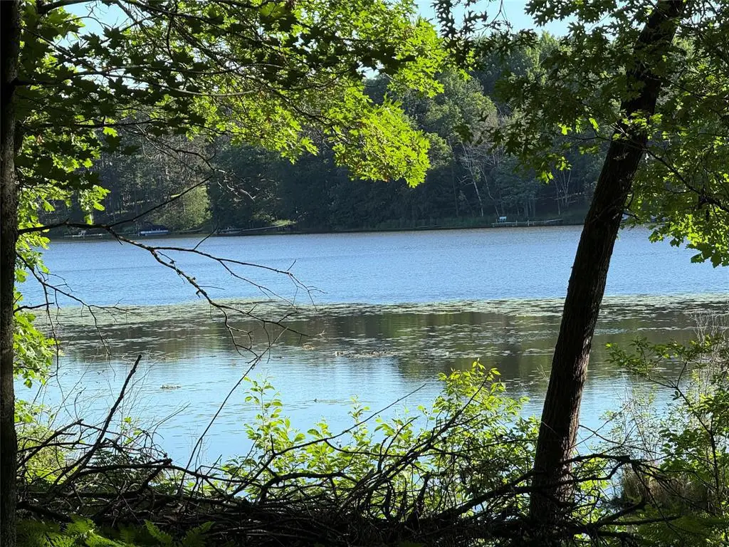 XXX Sathre Lane, Shell Lake, WI 54871 - #1