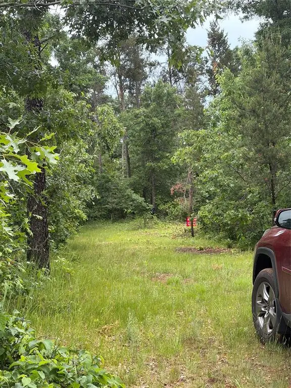 Lot 2 Sleepy Eye Road, Minong, WI 54859 - #3