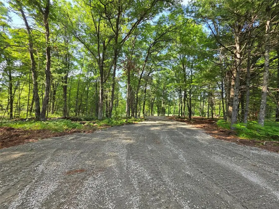 27646 295TH AVE LOT 14 Avenue, Holcombe, WI 54745 - #2