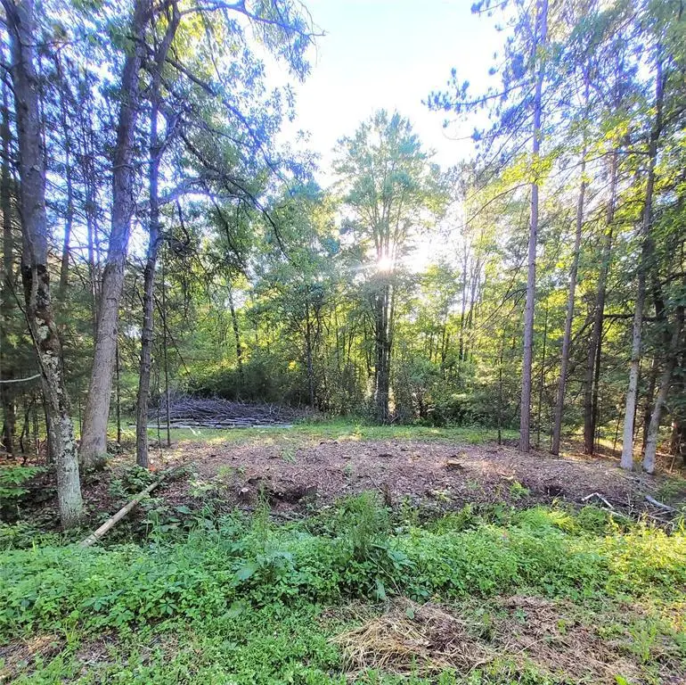 0 Lot 6 Old Highway12, Merrillan, WI 54754 - #1