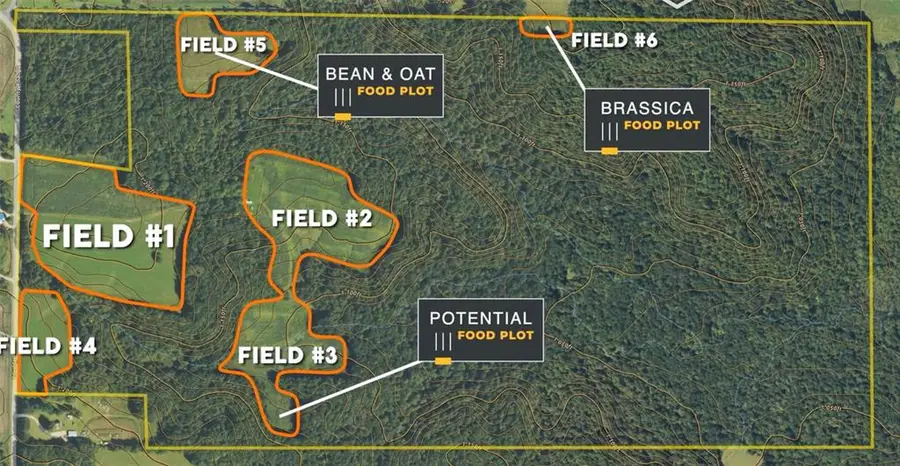 XX County Road Q, Downing, WI 54734 - #3