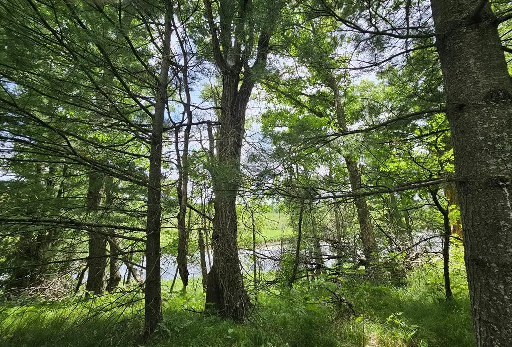 Lot 2 Gaslyn Road, Webster, WI 54893 - #1