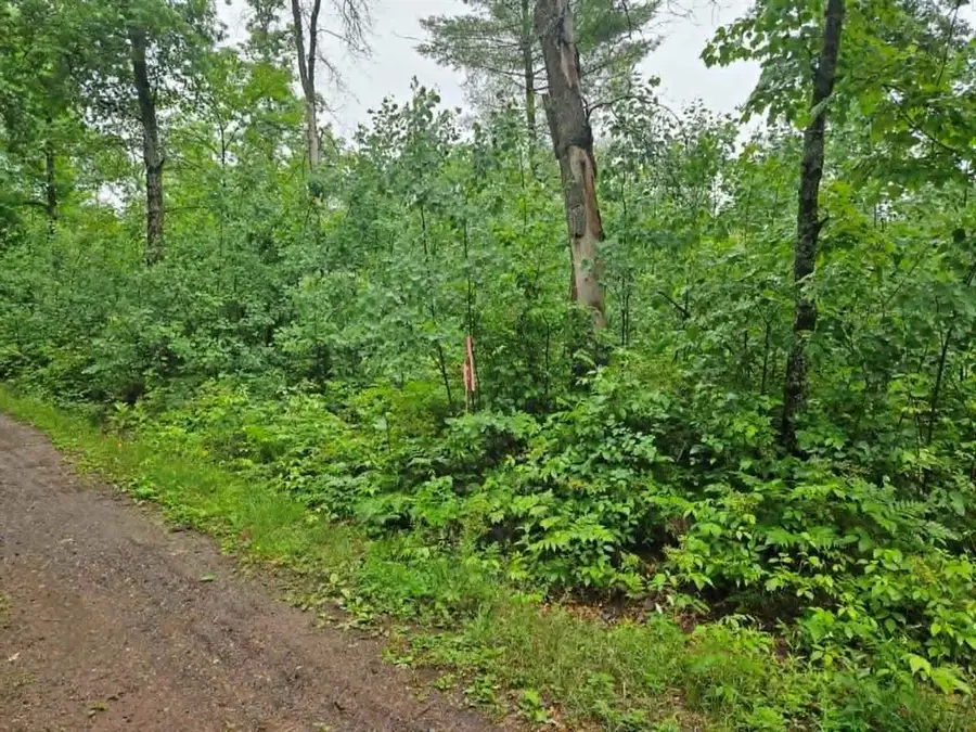 Lot 1 Hilly Ln, Spooner, WI 54801 - #2