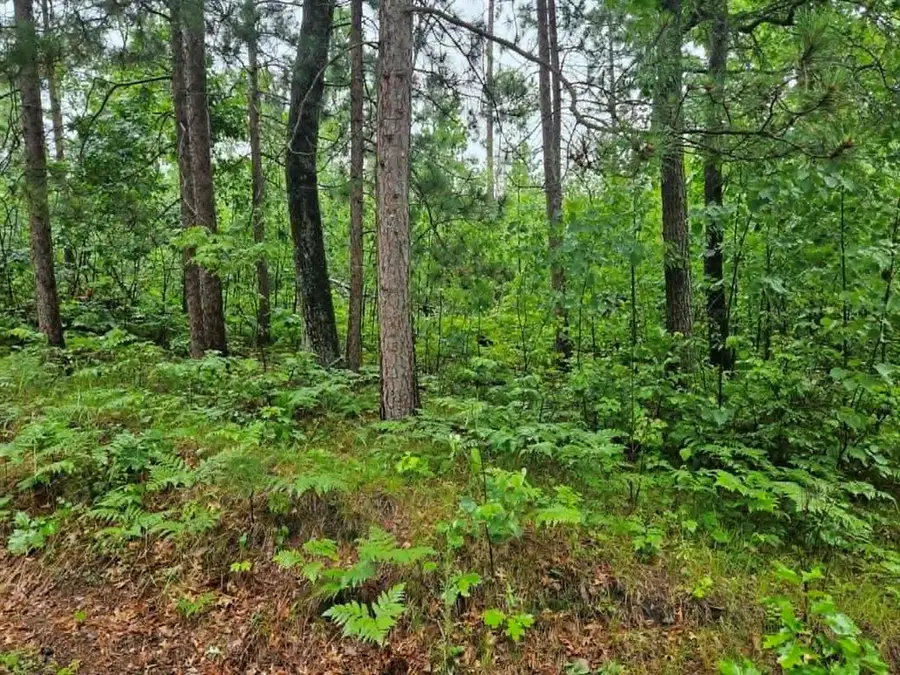 Lot 1 Hilly Ln, Spooner, WI 54801 - #3