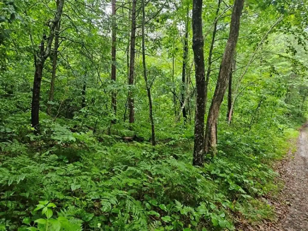 Lot 2 Hilly Ln, Spooner, WI 54801 - #1