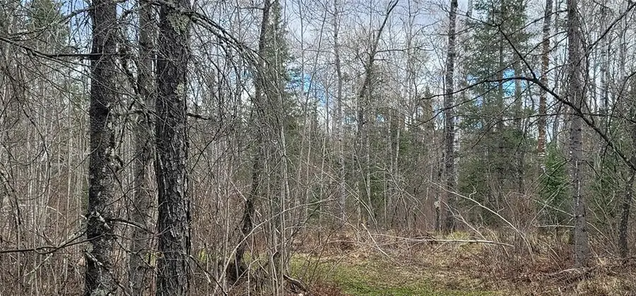 11553N County Highway A, Hayward, WI 54843 - #2