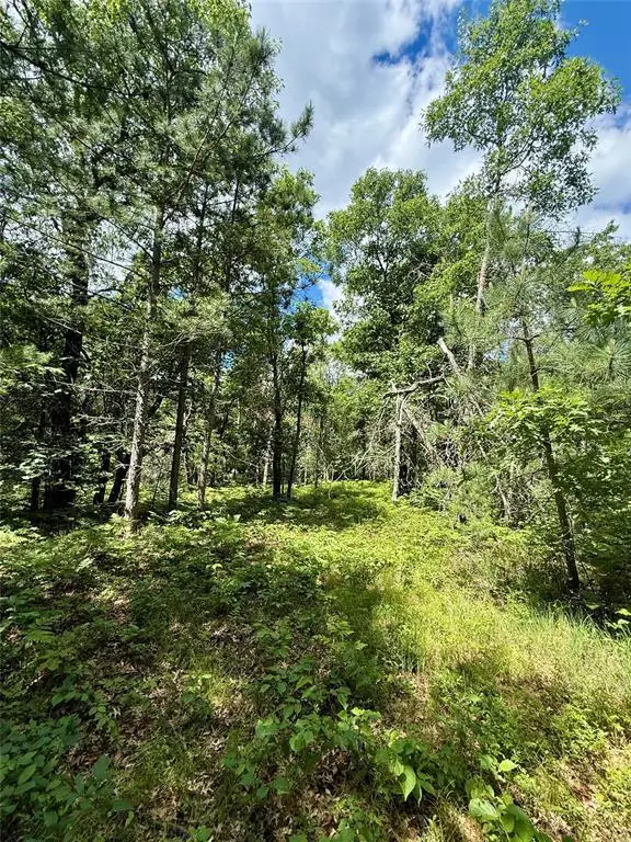 0 St Croix Trail, Minong, WI 54859