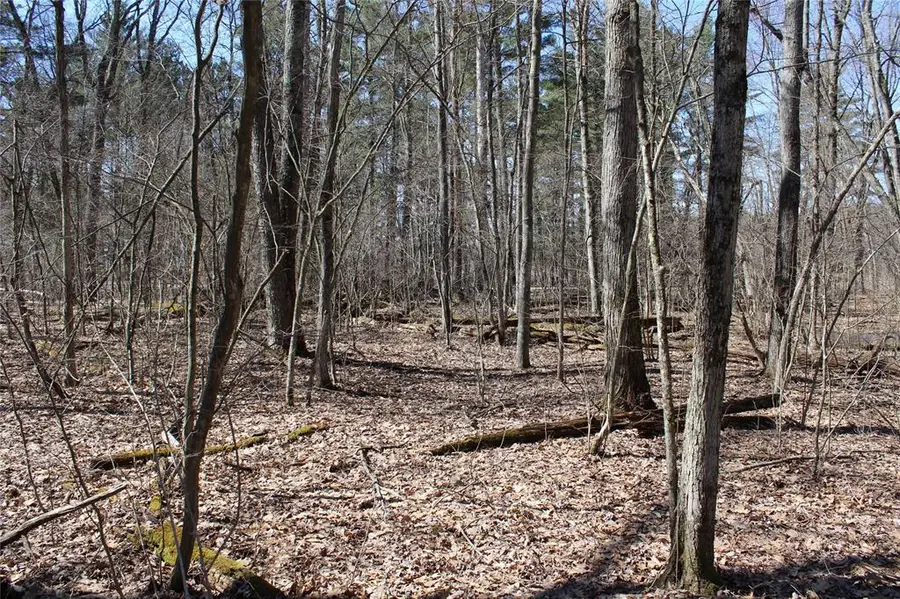 00 Resewood Ave. Lot - 2, Neillsville, WI 54456 - #2