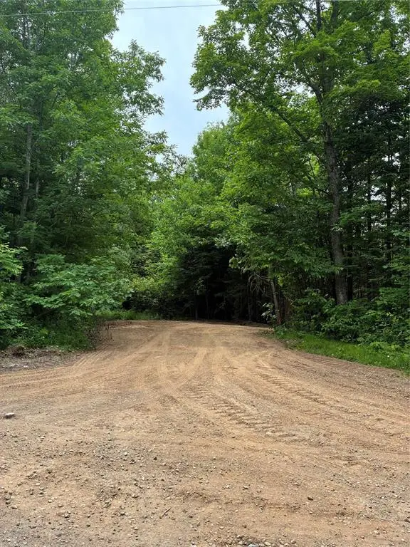 Lot 5 Uncle Toms Road, Loretta, WI 54896