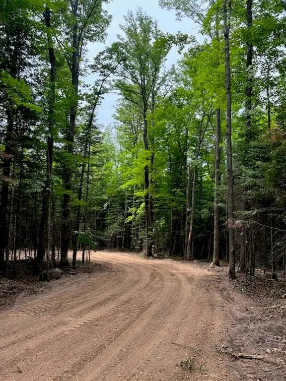 Lot 5 Uncle Toms Road, Loretta, WI 54896 - #3